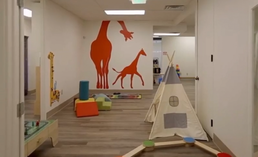 Playroom with two giraffe decals on the walls and an assortment of toys on the floor